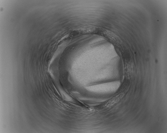 X0000073751058200608241341