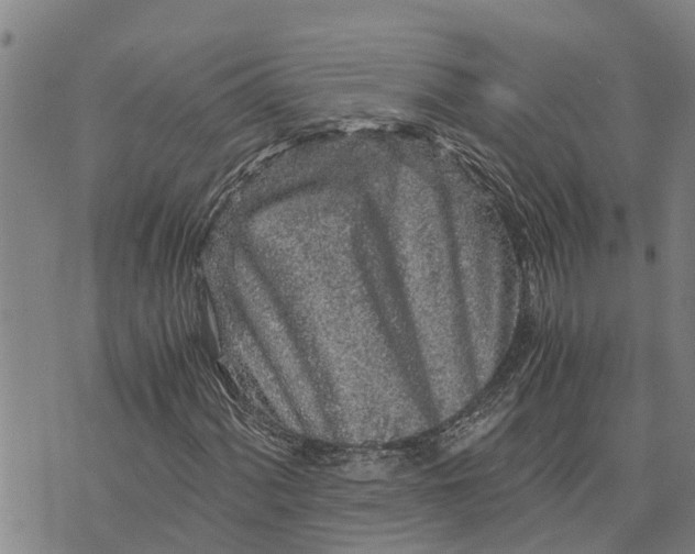 X0000073751060200608241341