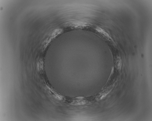 X0000073751061200608241341