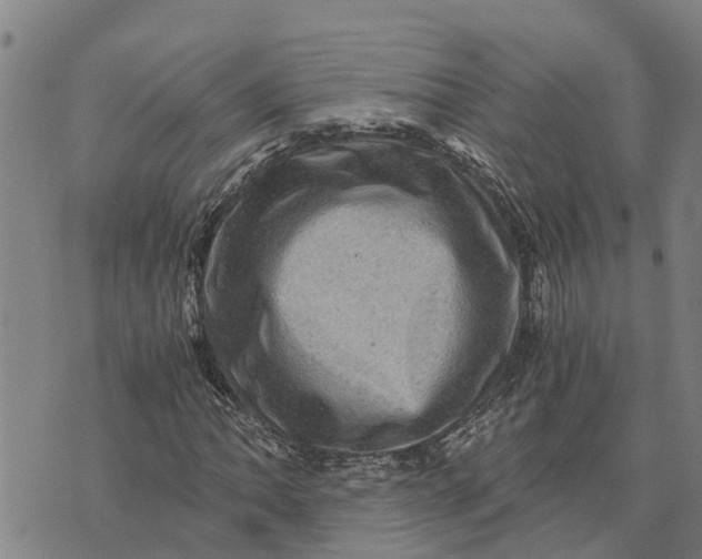 X0000073751062200608241341