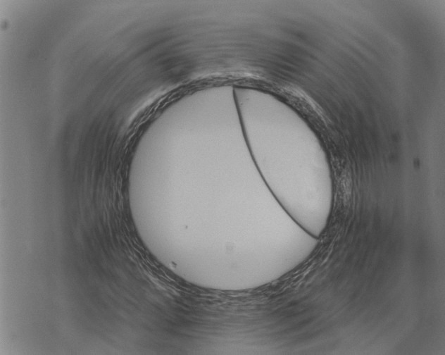 X0000073751064200608241341