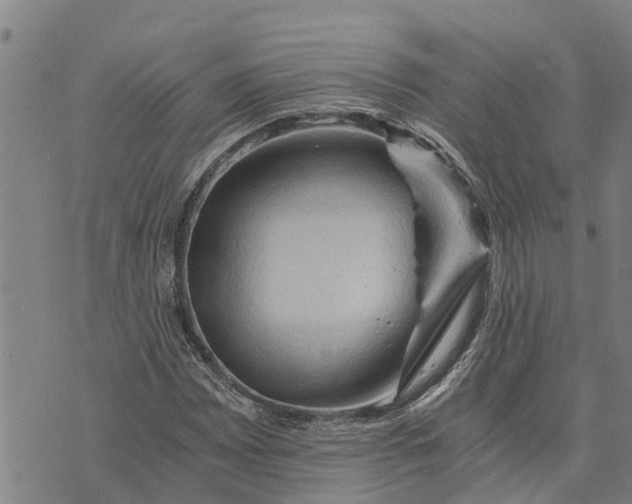 X0000073751065200608241341