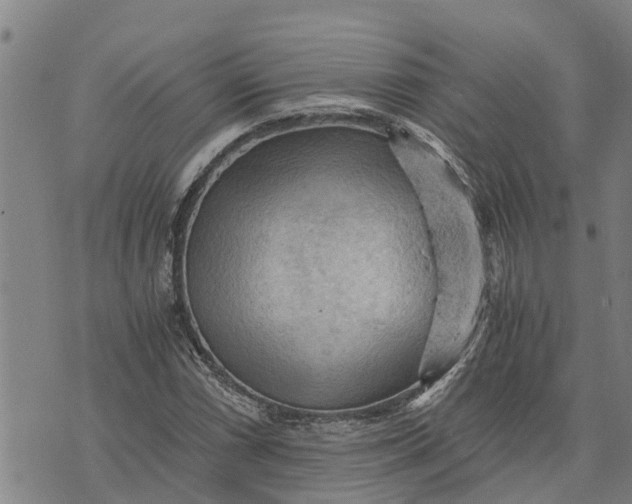 X0000073751066200608241341