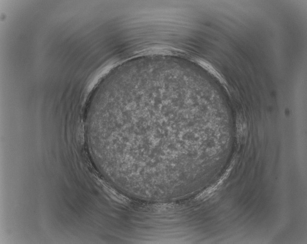 X0000073751067200608241341