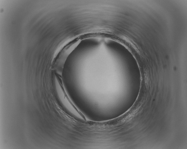 X0000073751069200608241341