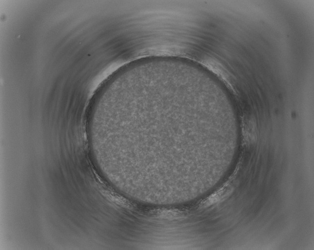 X0000073751070200608241341