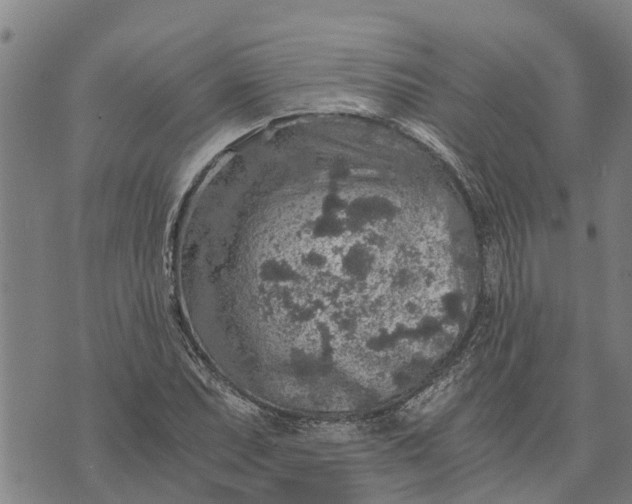 X0000073751071200608241341