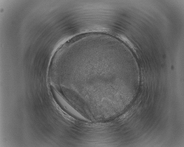 X0000073751072200608241341