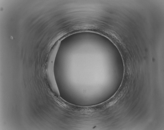 X0000073751073200608241341