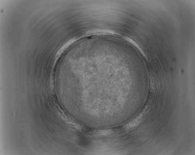 X0000073751074200608241341