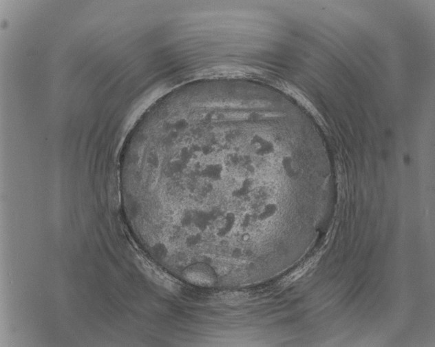 X0000073751075200608241341