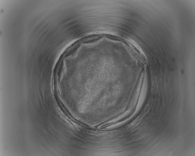 X0000073751076200608241341