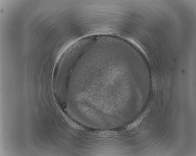 X0000073751077200608241341