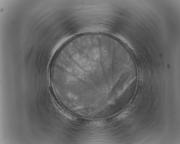 X0000073751078200608241341