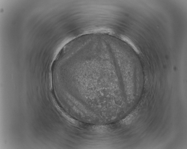 X0000073751079200608241341