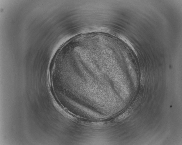 X0000073751080200608241341