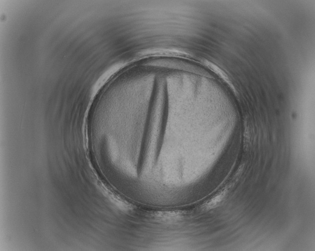 X0000073751082200608241341