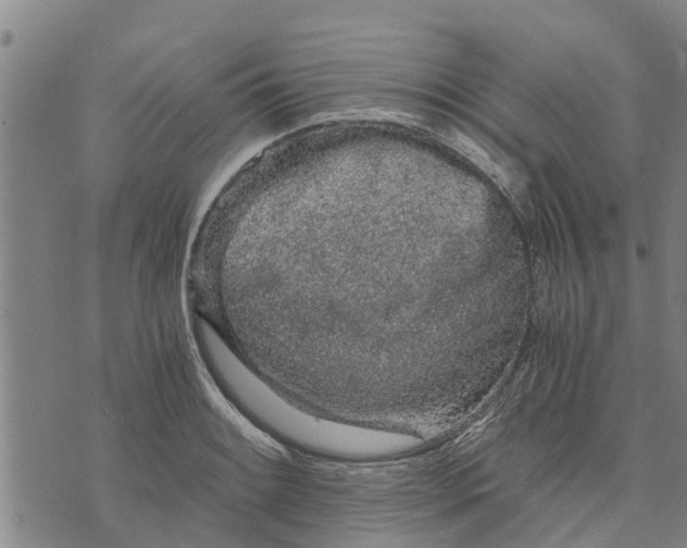 X0000073751084200608241341