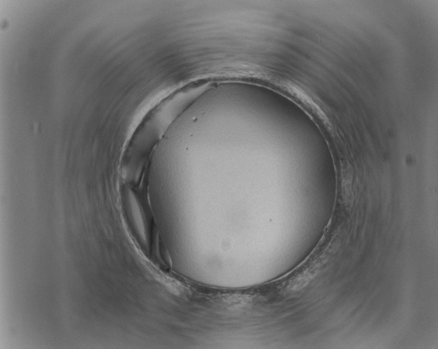 X0000073751085200608241341