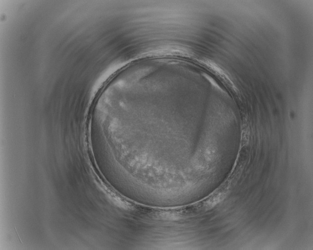 X0000073751086200608241341