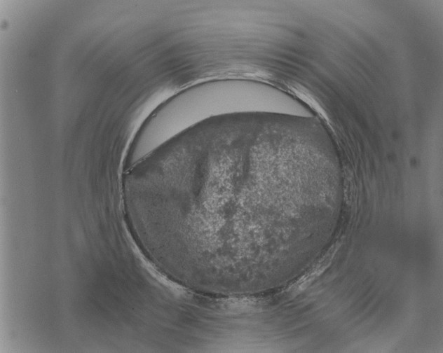 X0000073751087200608241341