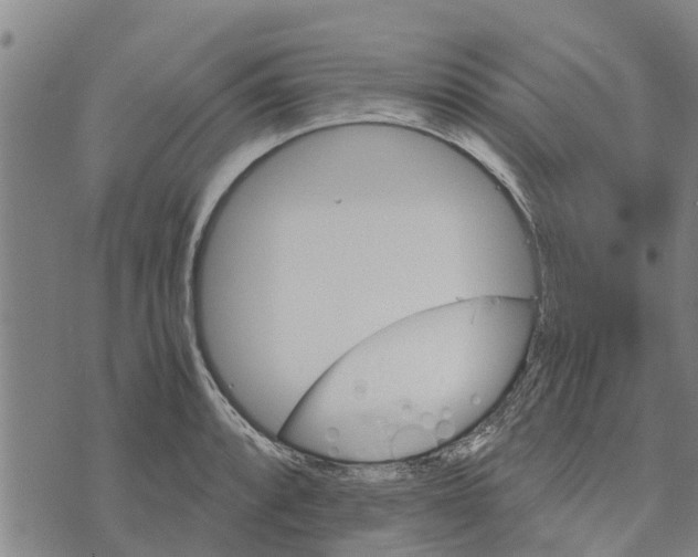 X0000073751088200608241341