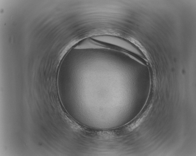 X0000073751089200608241341