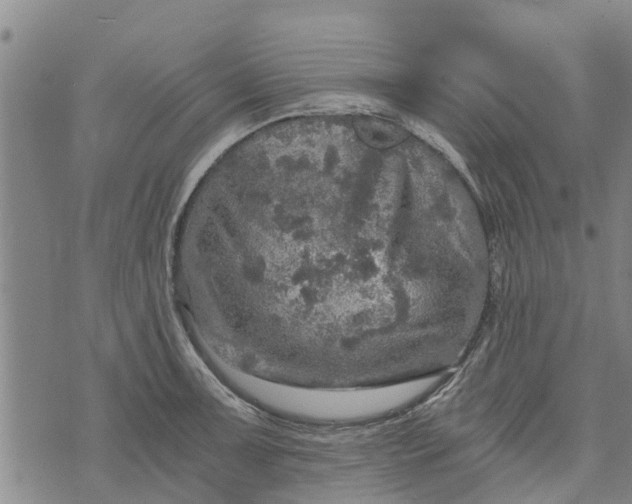 X0000073751091200608241341