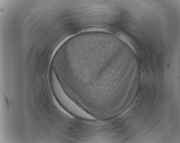 X0000073751092200608241341