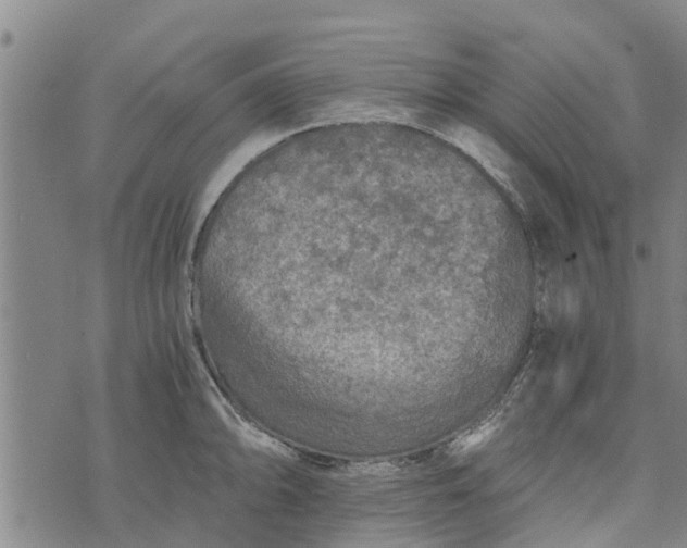 X0000073751094200608241341