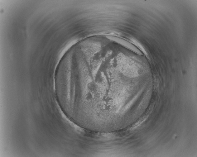 X0000073751095200608241341