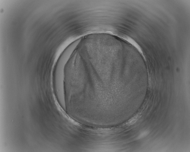 X0000073751096200608241341