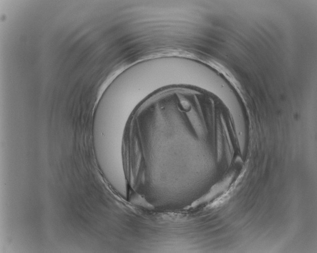 X0000073751097200608241341