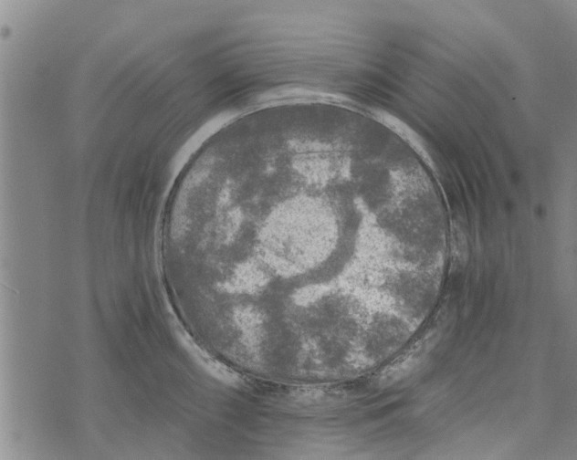 X0000073751098200608241341