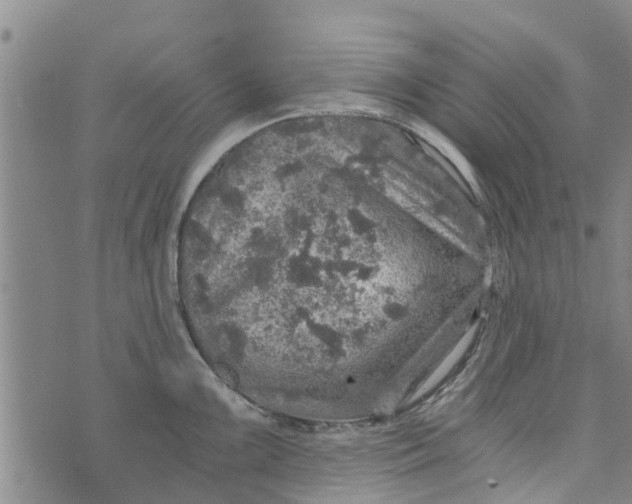 X0000073751099200608241341