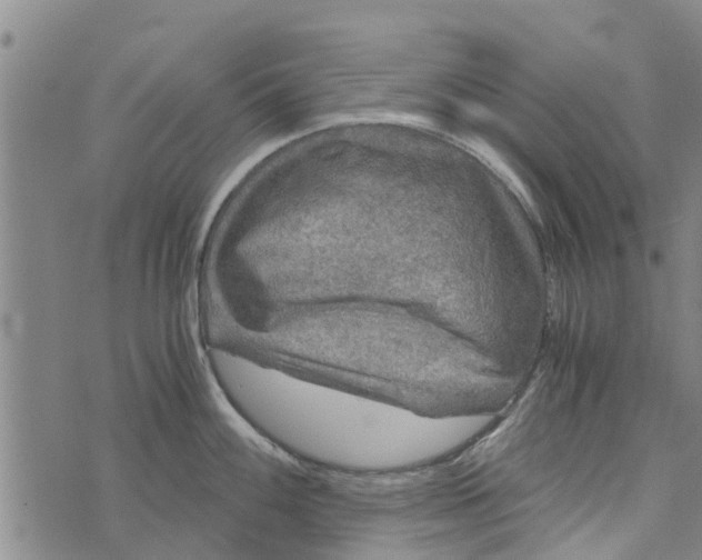 X0000073751100200608241341