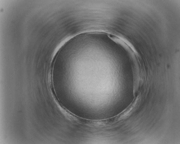 X0000073751101200608241341