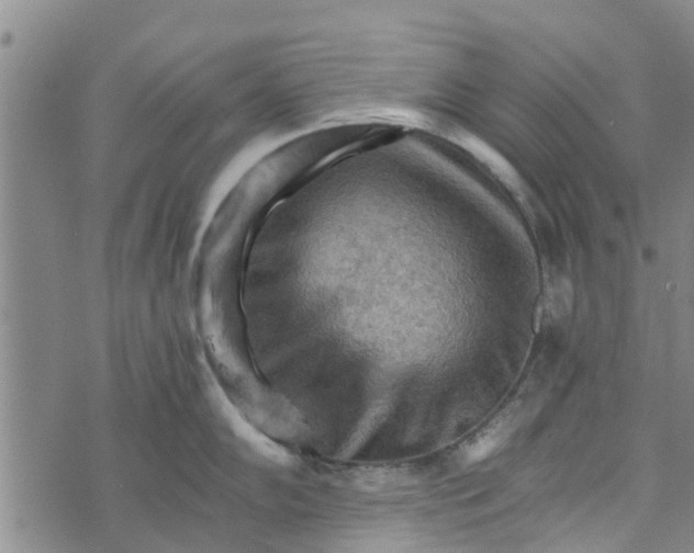 X0000073751102200608241341