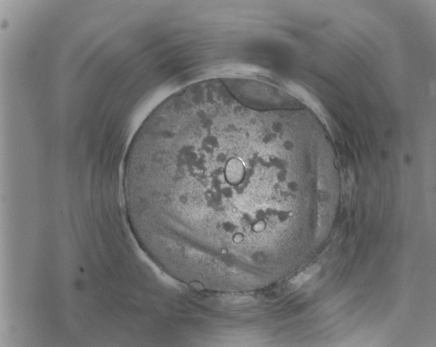 X0000073751103200608241341