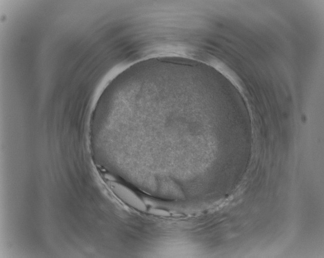 X0000073751104200608241341