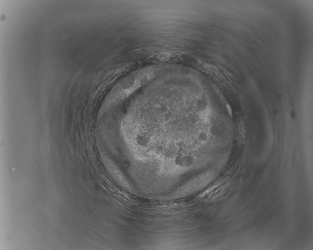 X0000073751105200608241340