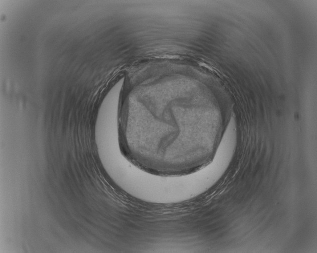 X0000073751108200608241340