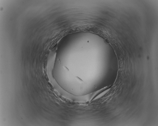 X0000073751109200608241340