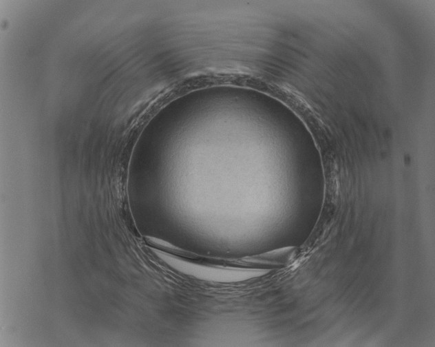 X0000073751110200608241340