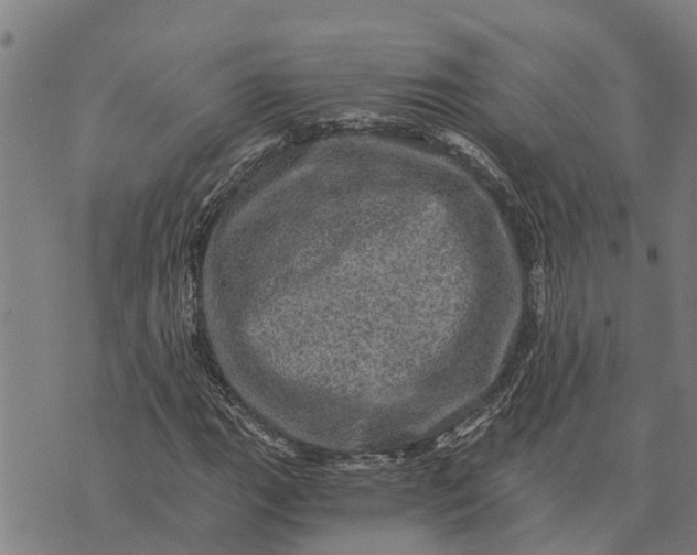 X0000073751111200608241340