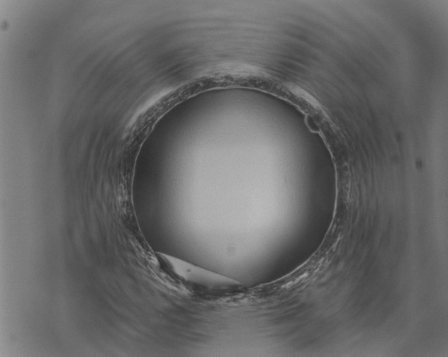 X0000073751112200608241340