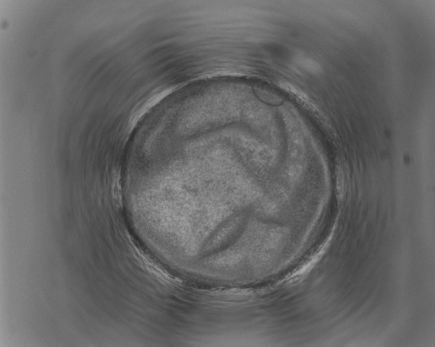 X0000073751113200608241340