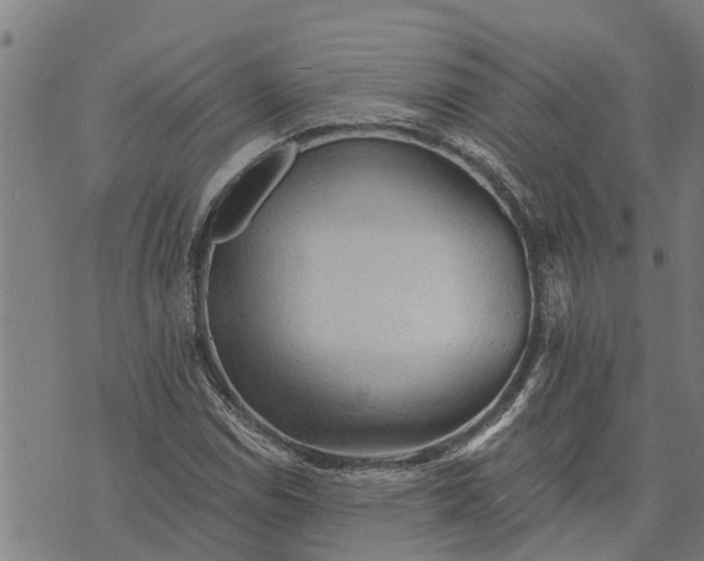 X0000073751114200608241340