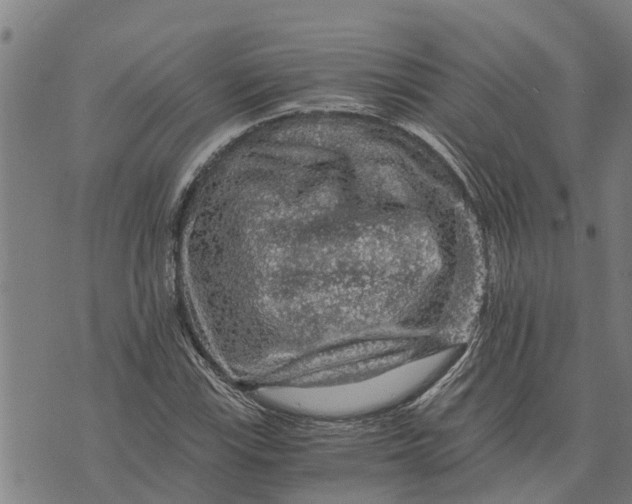 X0000073751115200608241340