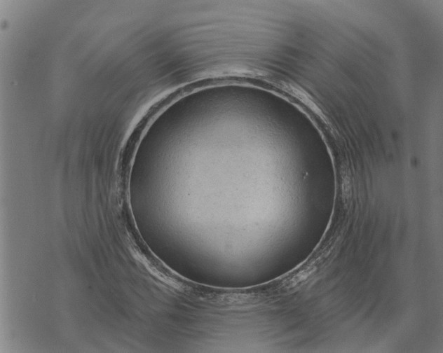 X0000073751116200608241340